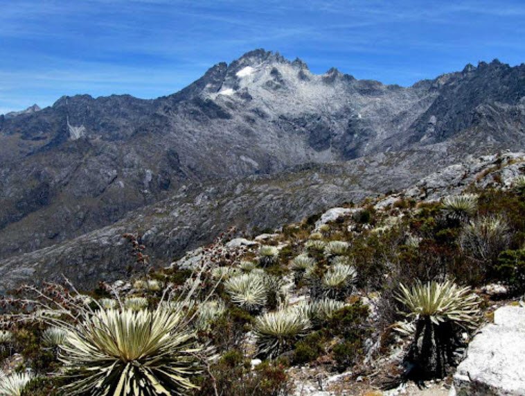 Pico Bolívar, Mérida State (Andes), Venezuela